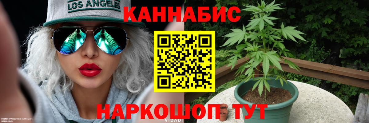 Шишки марихуана семена  Каннабис VHQ  Марихуана Amnesia  Северобайкальск  Вход с VPN  Марихуана планчик 